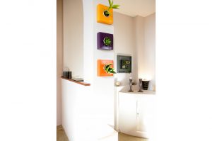 Macetas para jardines verticales