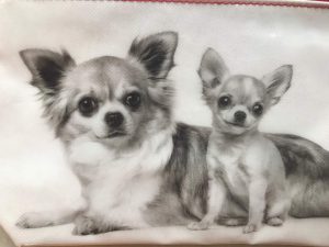 Fotos del estuche para mascotas promocional para los clientes de Royal Canin