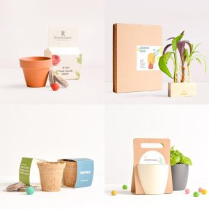Catálogo de semillas: kit de plantación