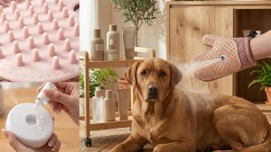 Guante de vapor para perros y gatos